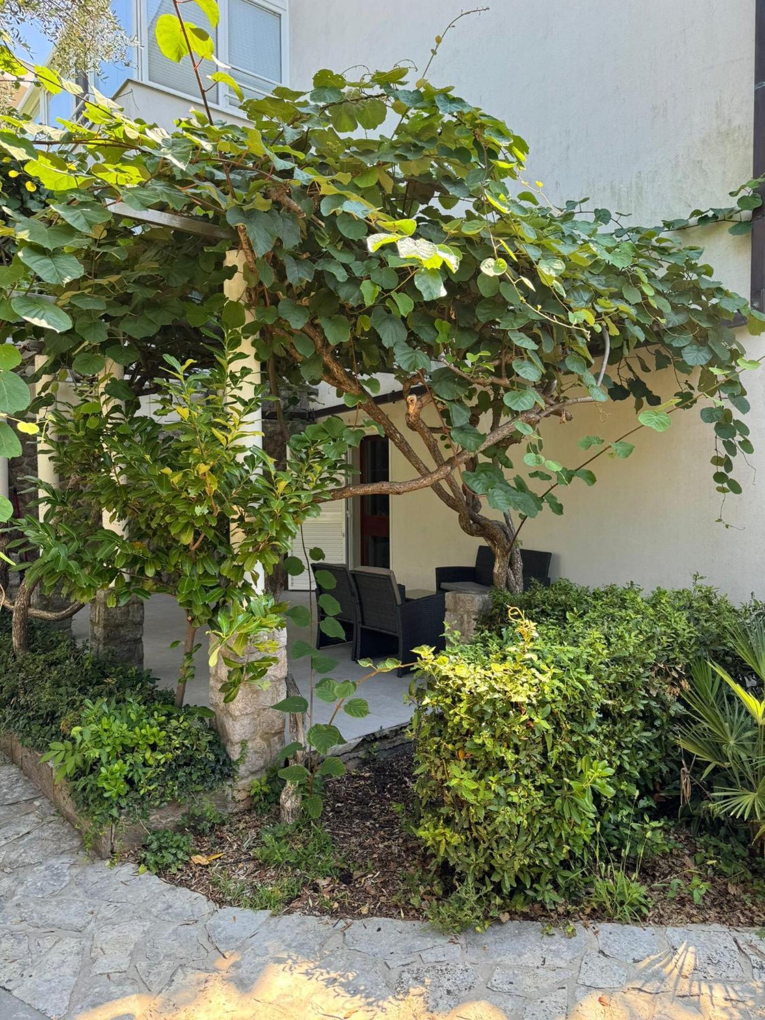 Apartman Kucer 克尔克 外观 照片